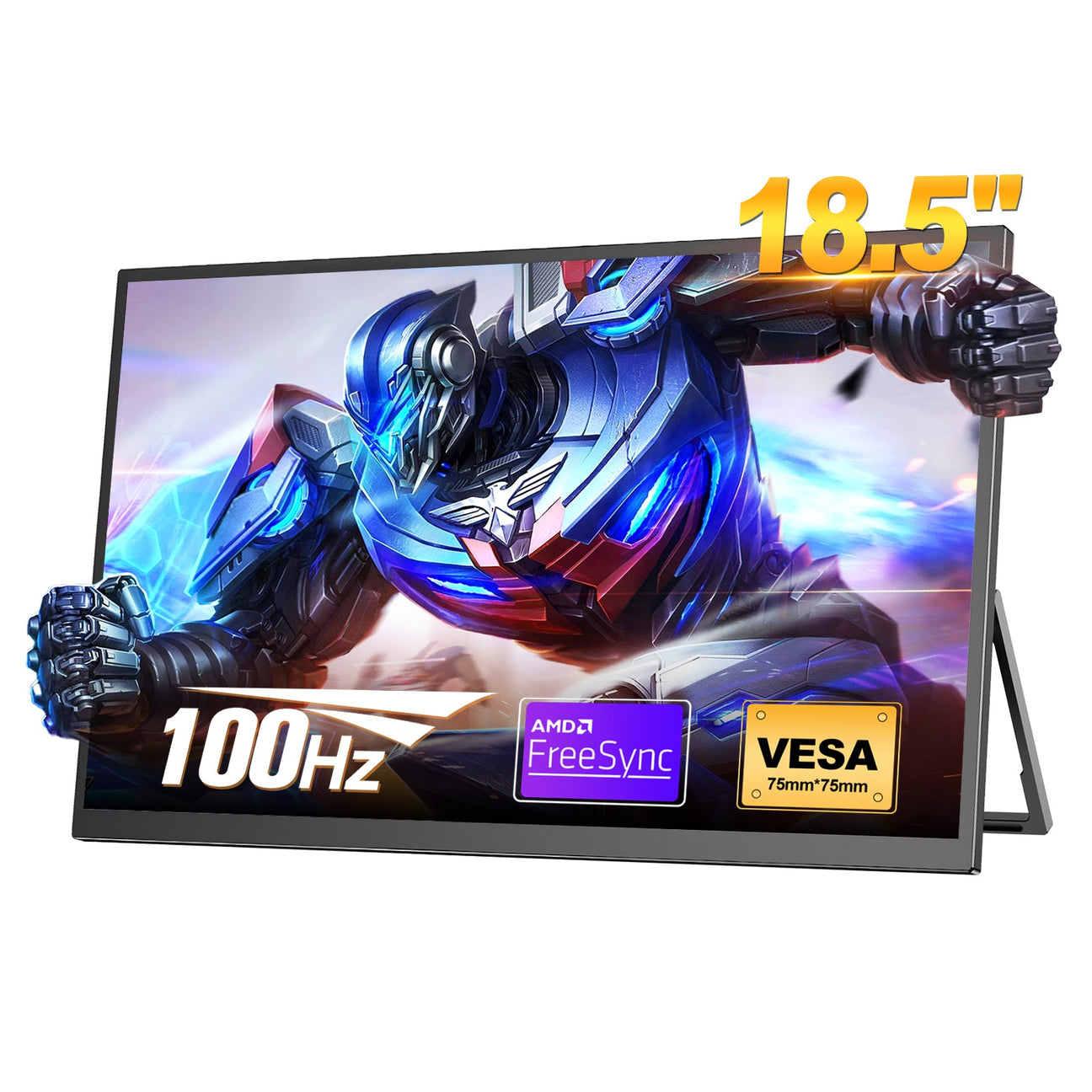 Portable Monitor